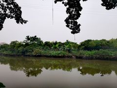 -小洲村