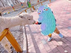 -北京野生动物园