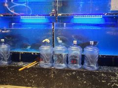 水产区-姜君·千岛湖鱼头馆(浦东大道店)