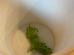 -高丽屋(天宁寺店)