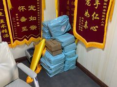 -宠爱国际动物医院· 猫科· 外科·中兽医(长白店)