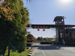 -罗卜李包子羊肉汤