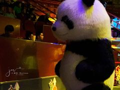 -俄罗斯国家大马戏团