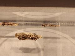 -合浦汉代文化博物馆