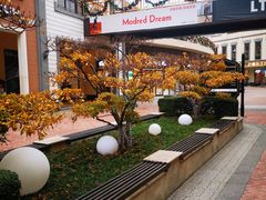 -王府井奥莱临潼小镇(临潼店)