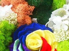 -昆明国际花卉拍卖交易中心