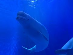 -多彩贵州城极地海洋世界