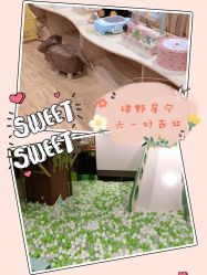 -绿野星空儿童乐园