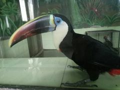 -石家庄市动物园