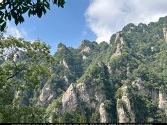 -王顺山国家森林公园