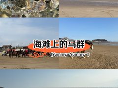 -南澳海滩