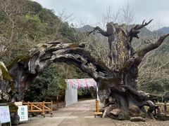 -龙湾潭国家森林公园