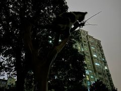 -曹家小菜(胜太路店)