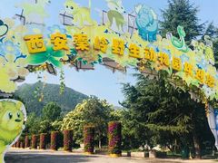 -西安秦岭野生动物园