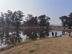 -两河城市森林公园