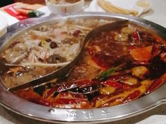 -大龙燚火锅