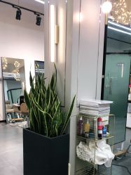 -FUTURE HN男士发型风格设计