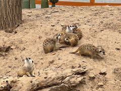 -北京野生动物园