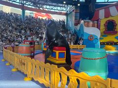 -海合安武汉极地海洋公园