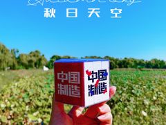 -亲兄弟真人CS团建拓展基地