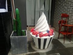 -JW德国冻酸奶Frozen Yogurt(龙湖成都滨江天街店)