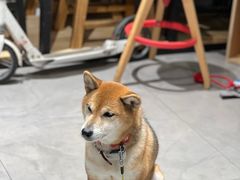 -NOTBAD 须时·咖啡馆