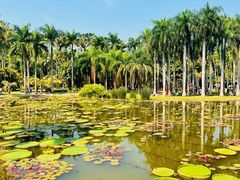 -中国科学院西双版纳热带植物园