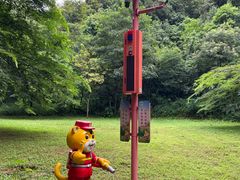 -田心森林公园