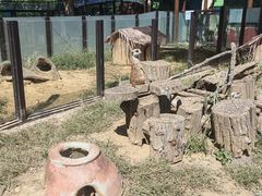 -大连森林动物园