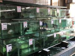 水产区-祈胜邨•顺德鱼生•顺德菜(容桂店)