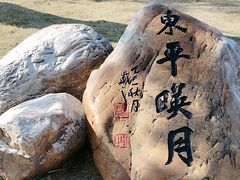 -王借岗森林公园