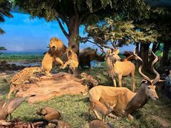 -国家自然博物馆