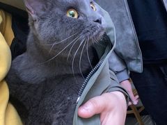 -西安市未央区汉城畜牧兽医站