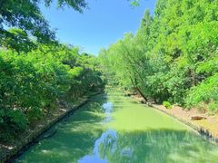 -同里国家湿地公园