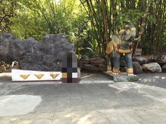 -莫里热带雨林景区