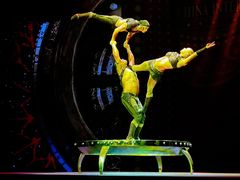 -珠海横琴长隆《卡卡虎奇遇记》