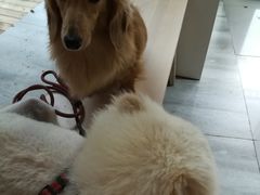 -爱侣宠医·鹦鹉专科·小型哺乳类·异宠专科(灵石路店)