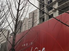 -中興路一號Oriental One