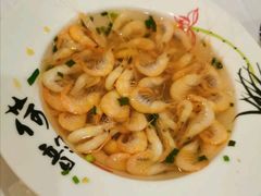 白米虾-呼吸森林·生态农庄农家乐私房菜