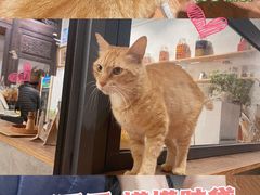 -三喜有食(集美店)