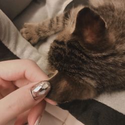 -LEILEI NAIL蕾蕾美甲美睫