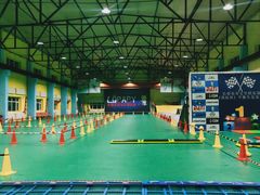 -长春乐奇平衡车儿童体能运动中心