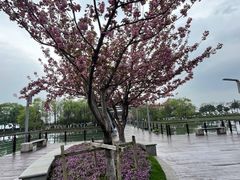 -阳澄湖费尔蒙酒店颐丰阁中餐厅(马鞍山西路店)