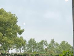 -潮府馆·非遗潮州菜·港式点心(世纪公园店)