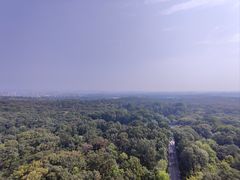 -灵谷景区