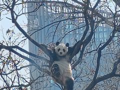 -北京动物园