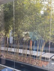 -爱儿美儿童摄影(朝阳公园店)