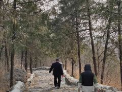 -阳台山自然风景区