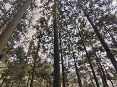 -东天目山风景区