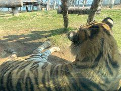 -西霞口神雕山野生动物世界